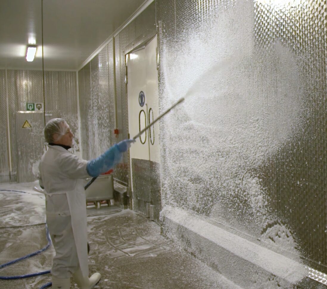 Enzymatic active foam cleaner